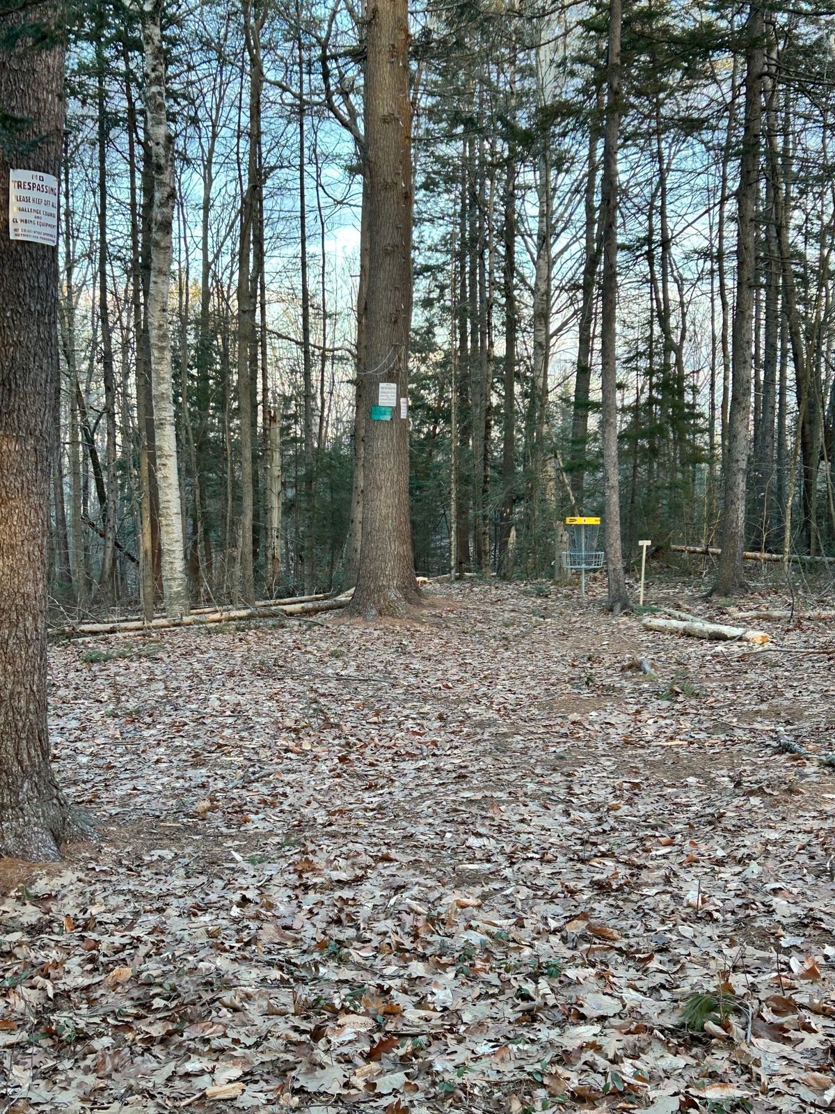 4th hole near high ropes elements