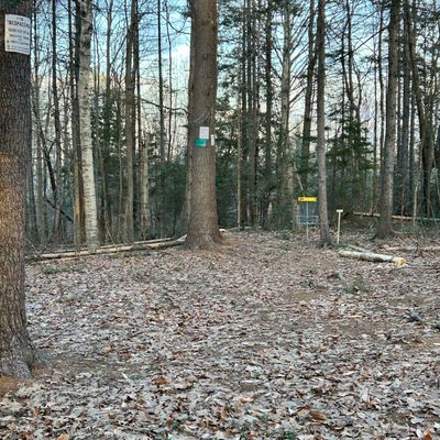 4th hole near high ropes elements