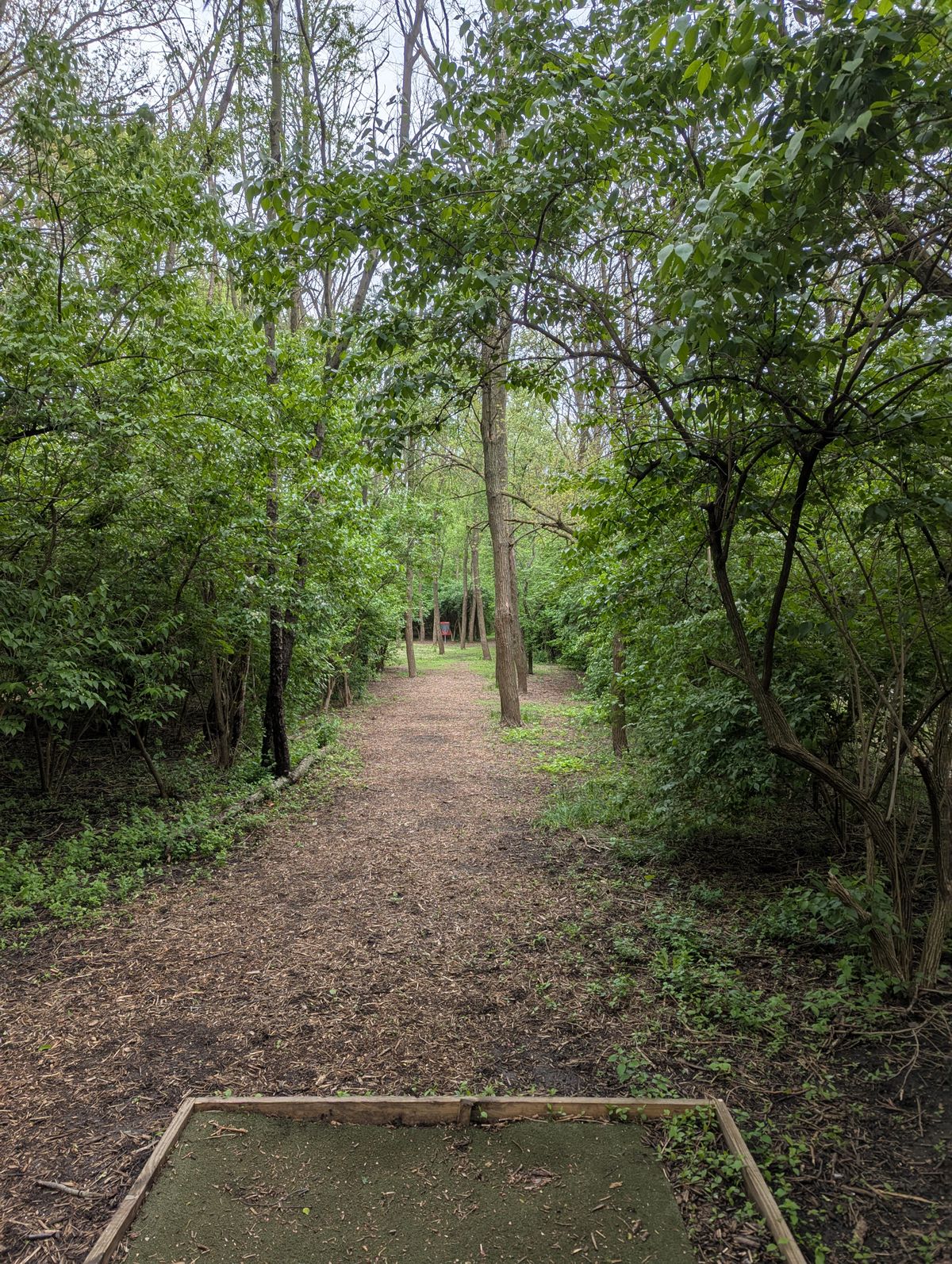 Hole 12