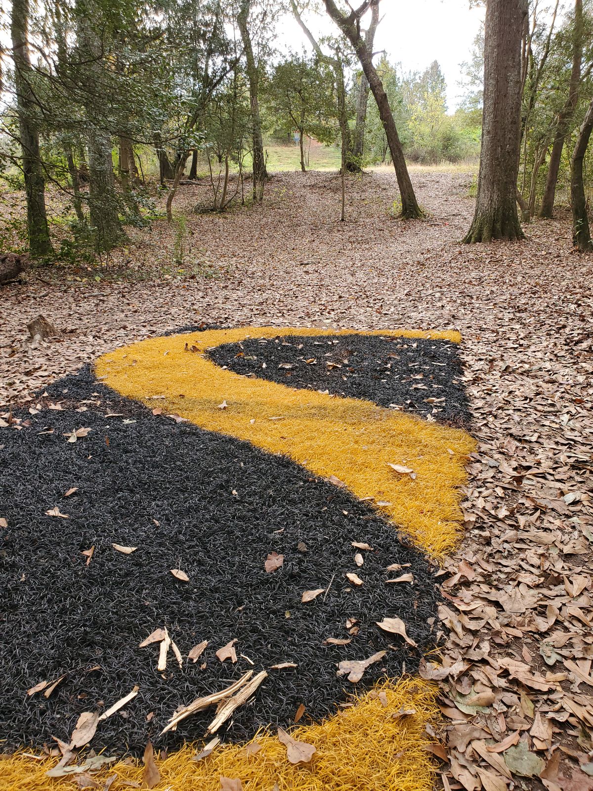 Hole 11