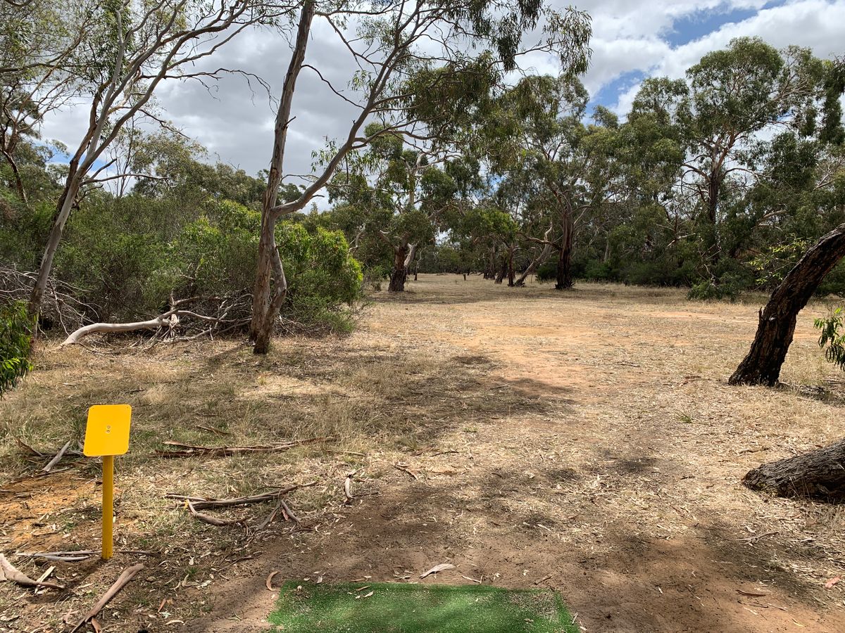 Hole 6