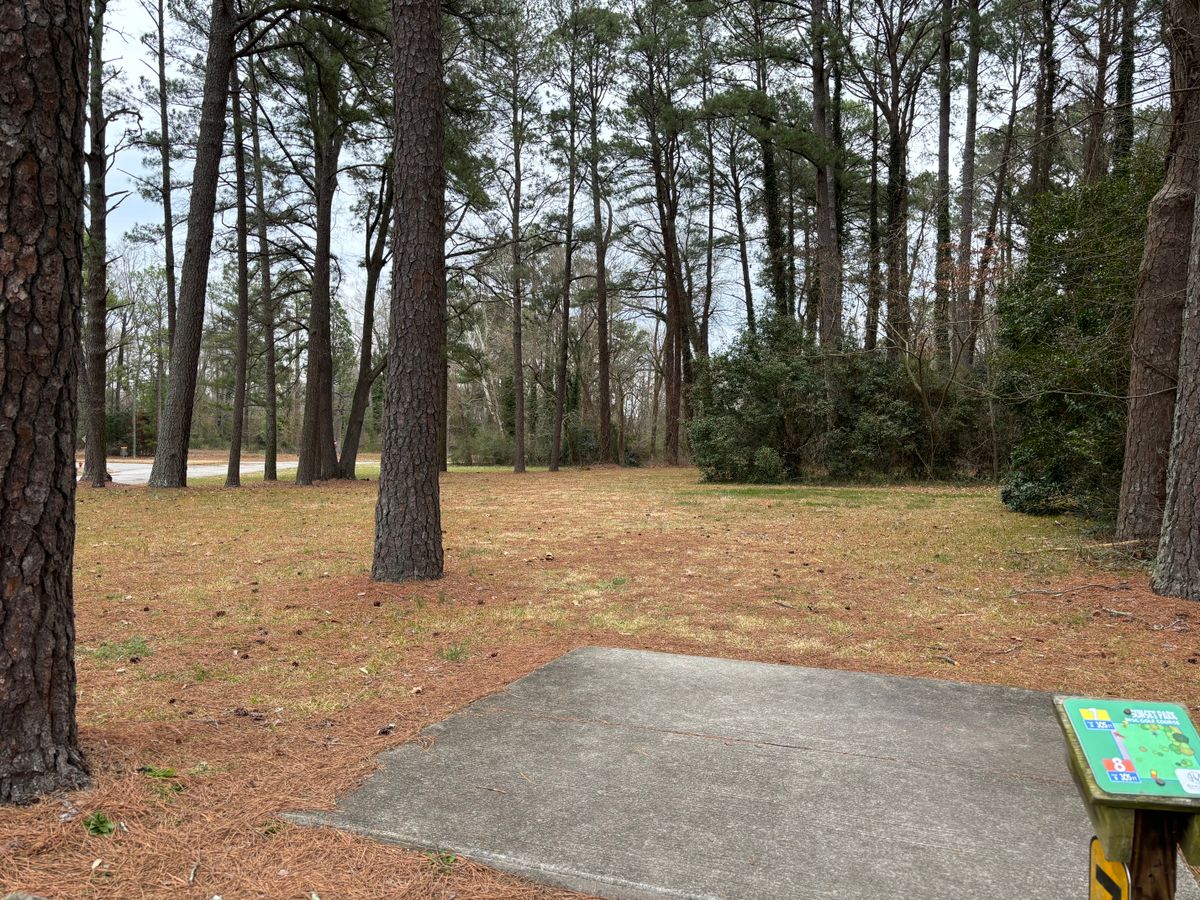 Hole 8 shorts