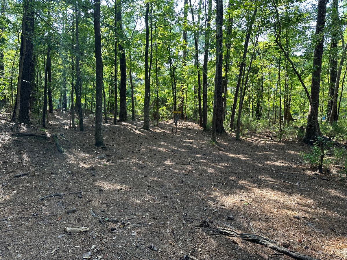 Hole 2 Approach