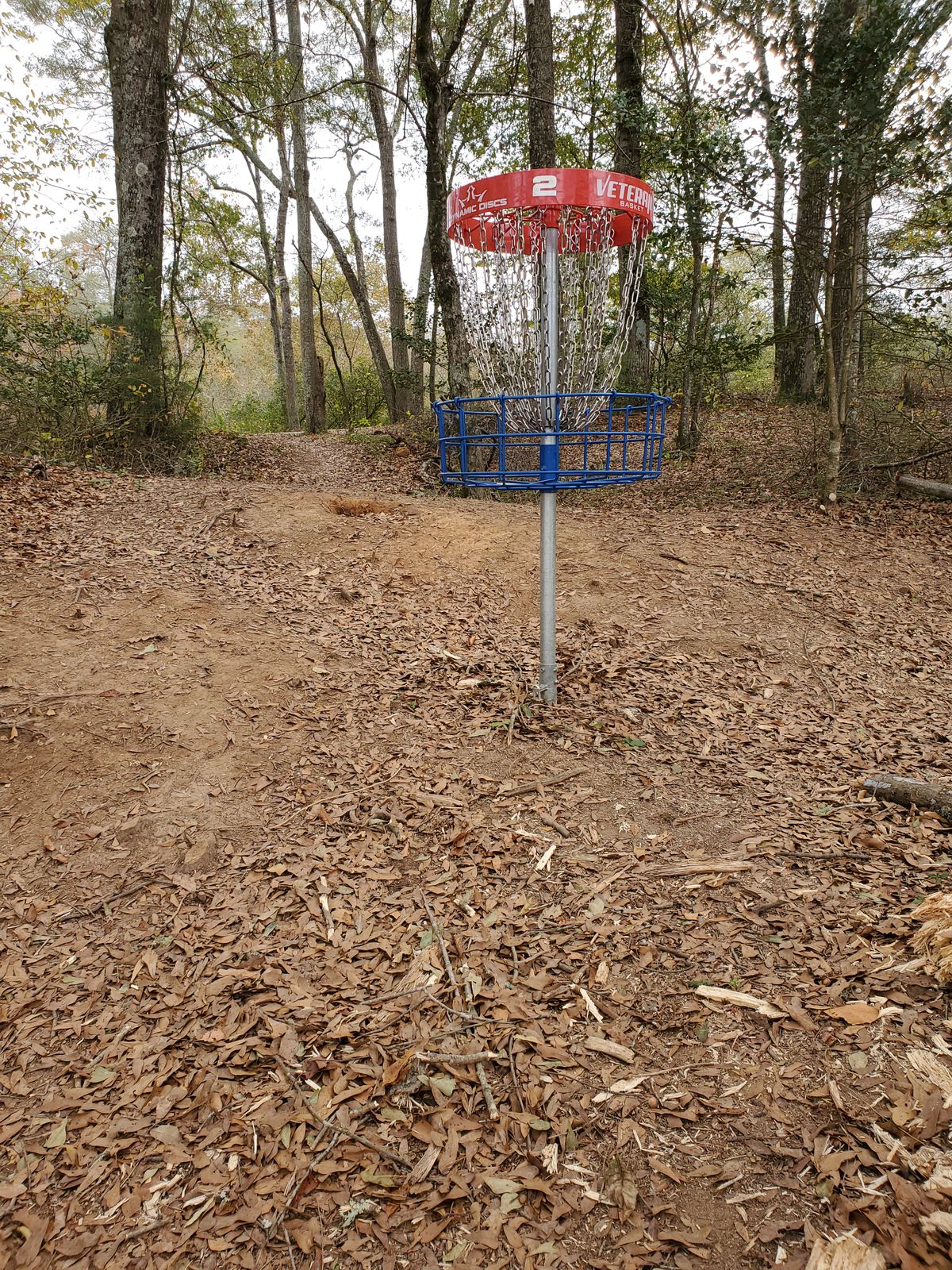 Hole 2 basket
