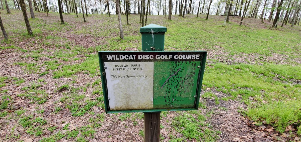A par five... Take time to locate the basket.. And confirm that it's the correct one!