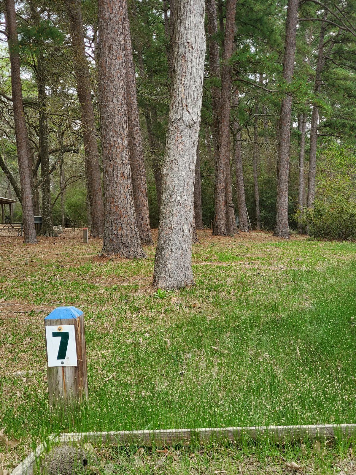 Hole 7 blue tee