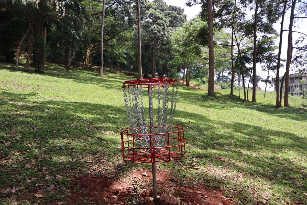Hole 9 basket