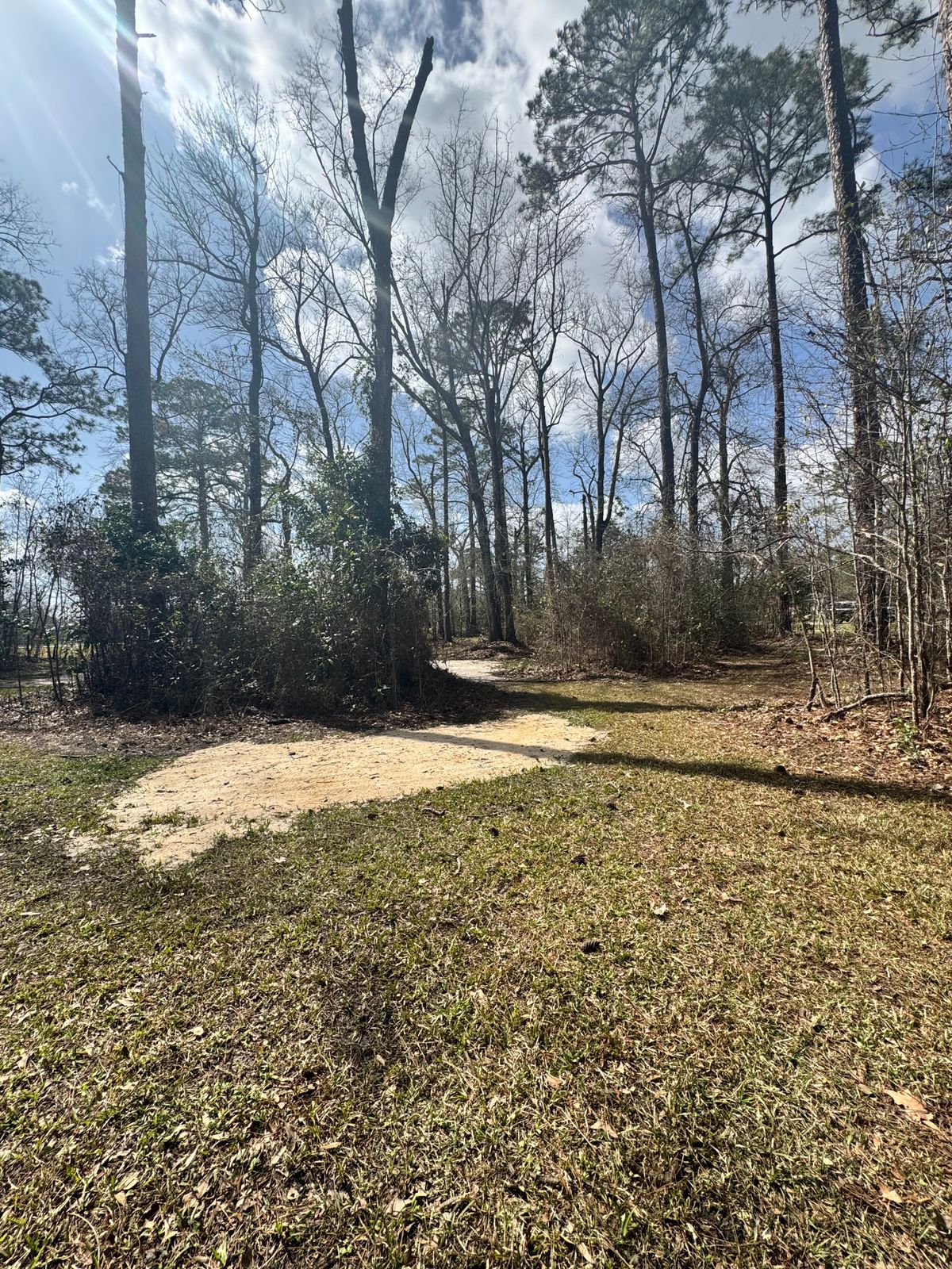 Hole 7 tee
