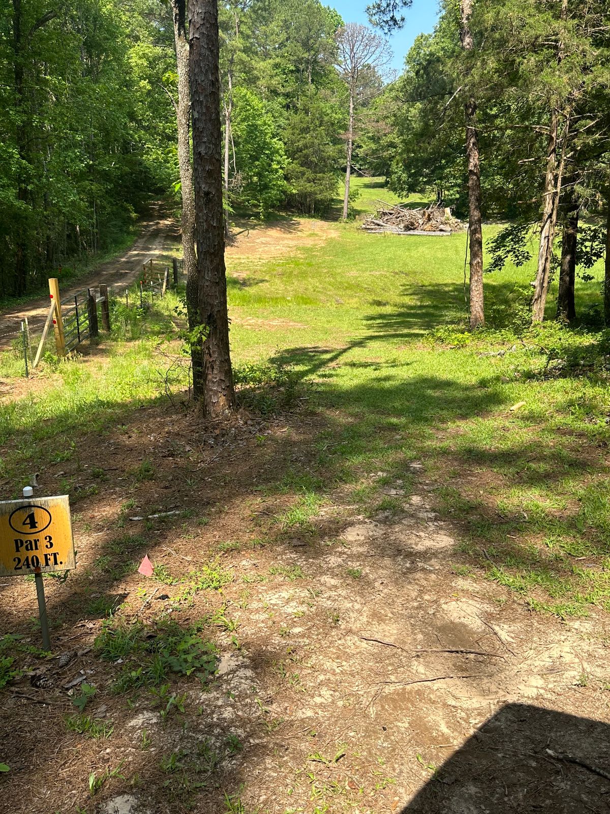 Hole 4 tees
