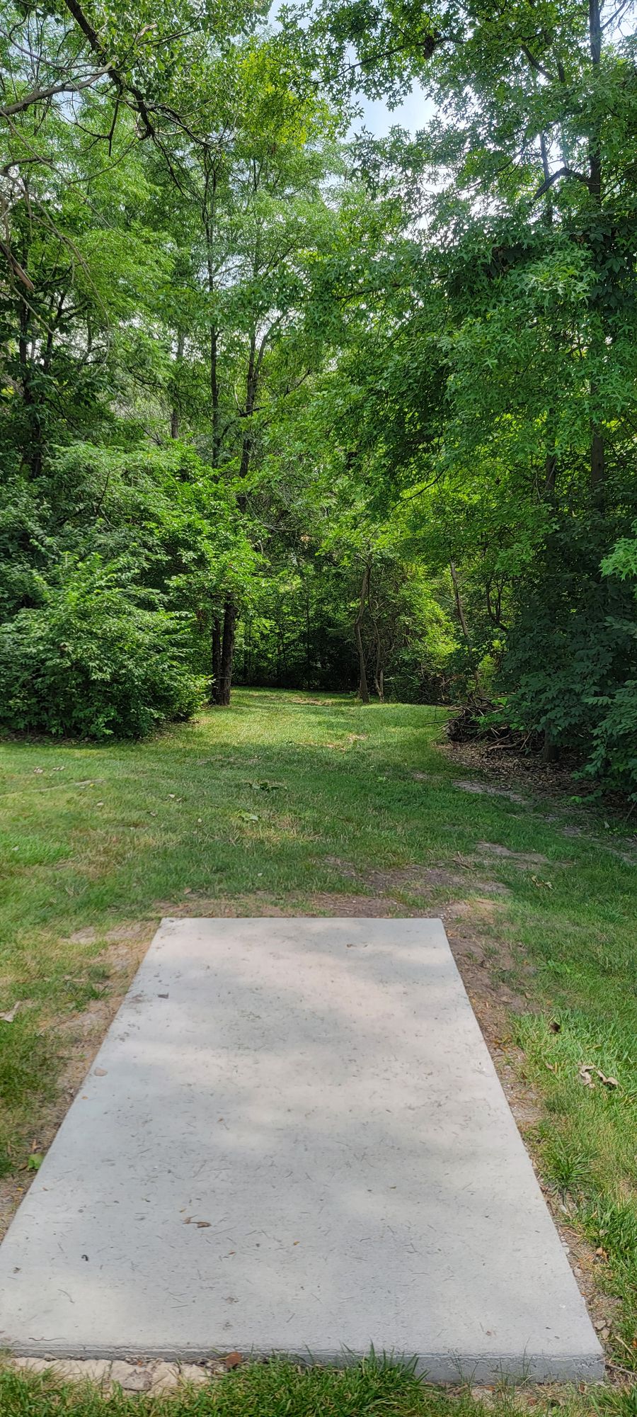 Tee pad of hole 1