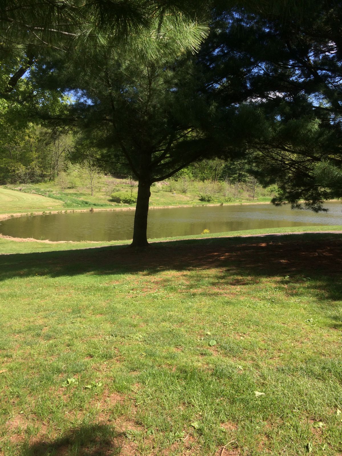 Hole 1