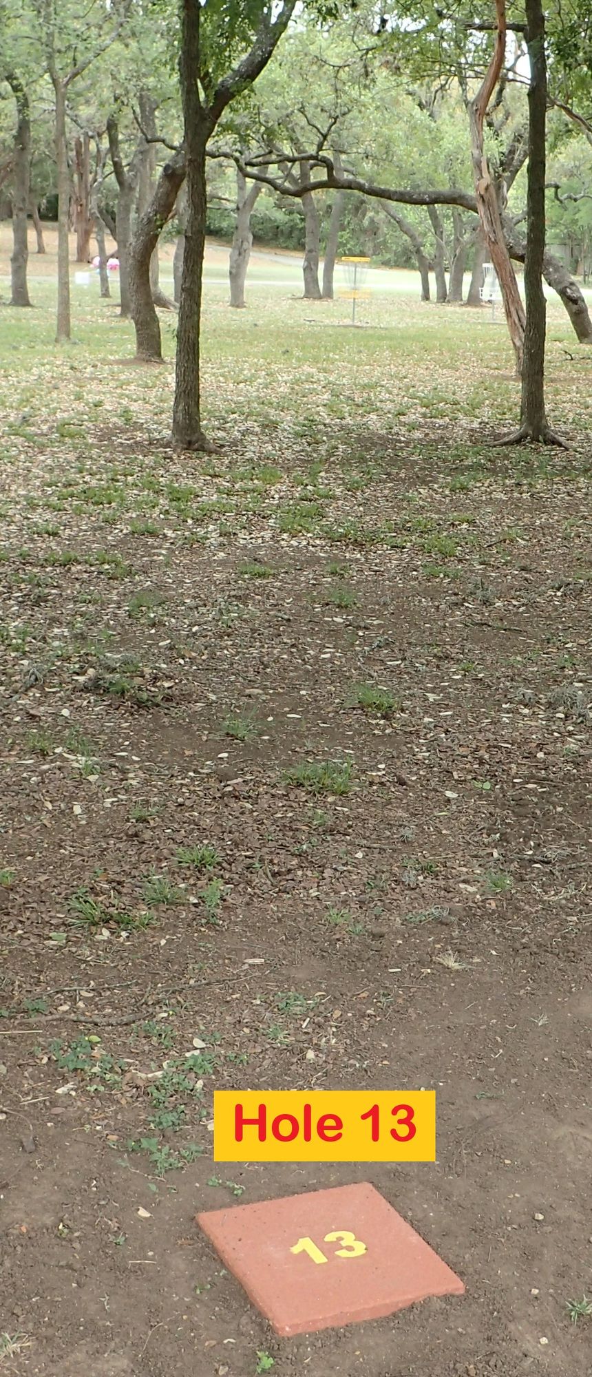Hole 13