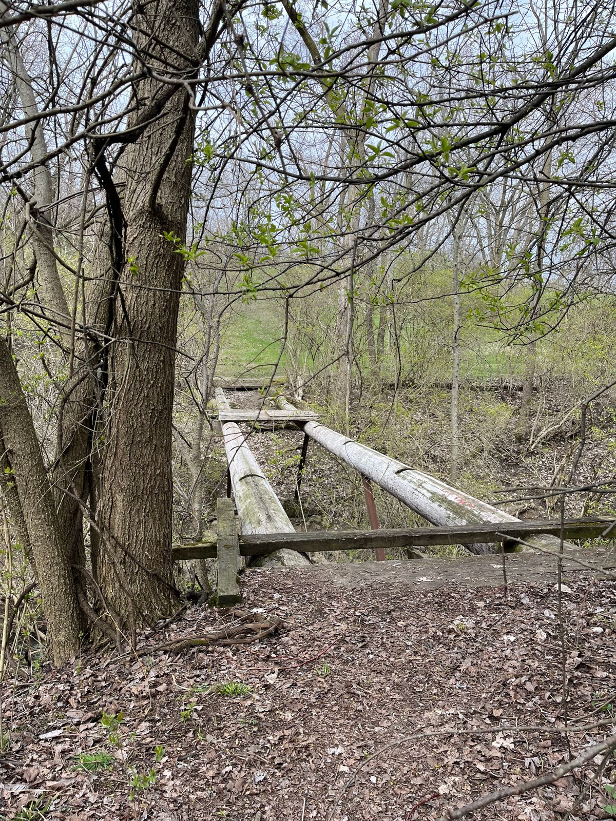 Abandoned bridge