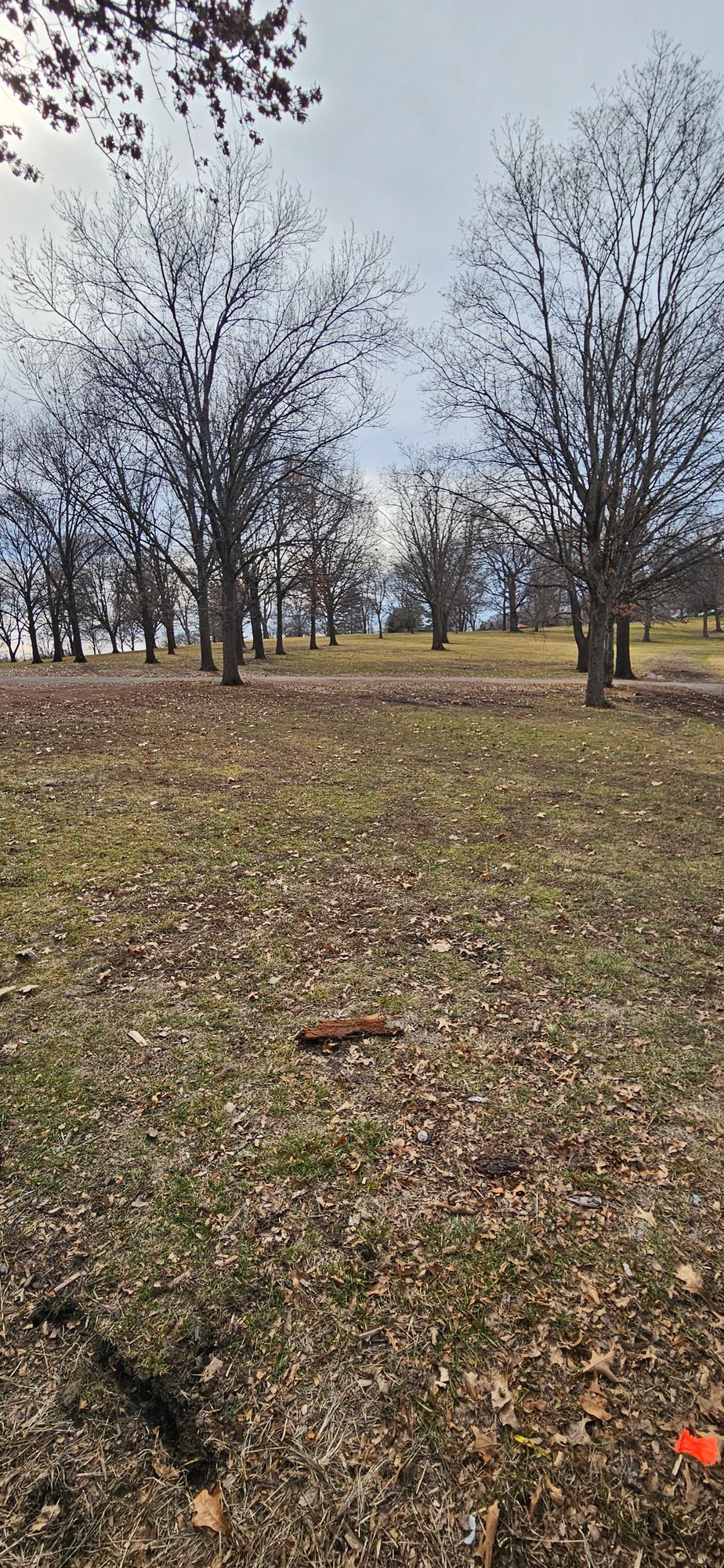 Hole 1 Tee to basket