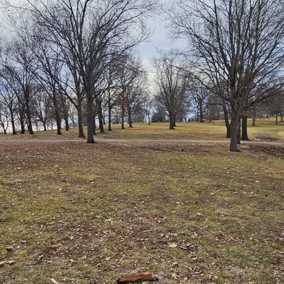 Hole 1 Tee to basket