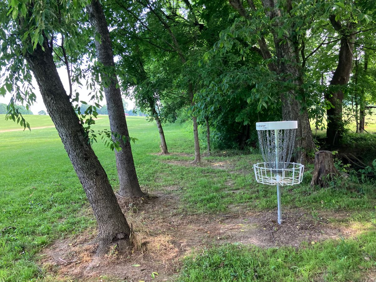 Hole 16 POV of basket looking towards tee area.