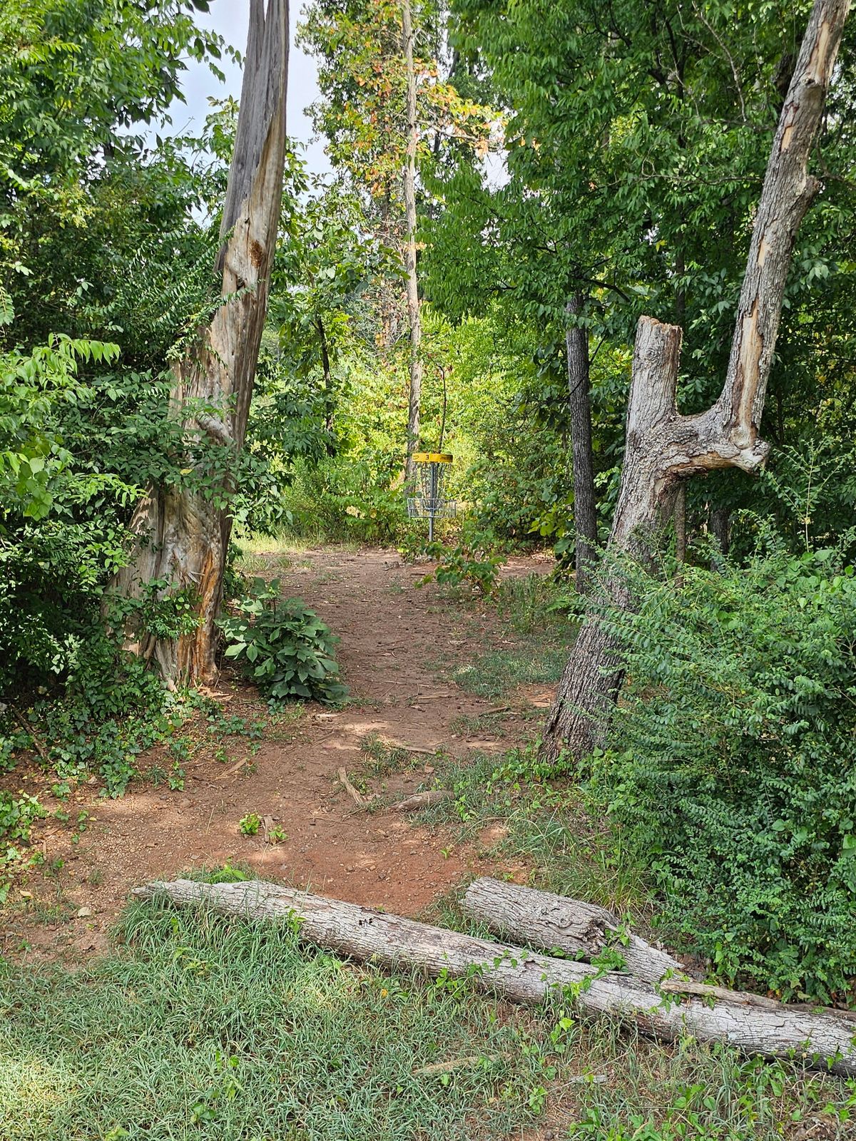 Hole 3's basket