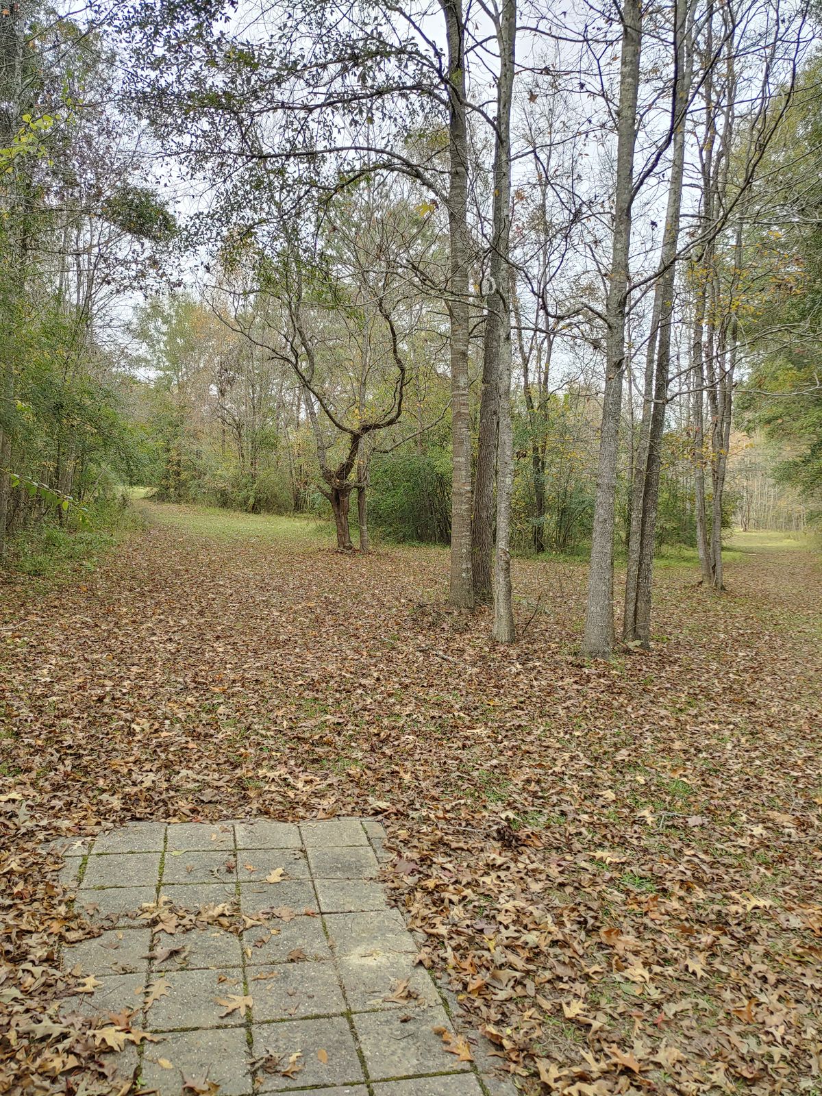 Hole 16 Pro
