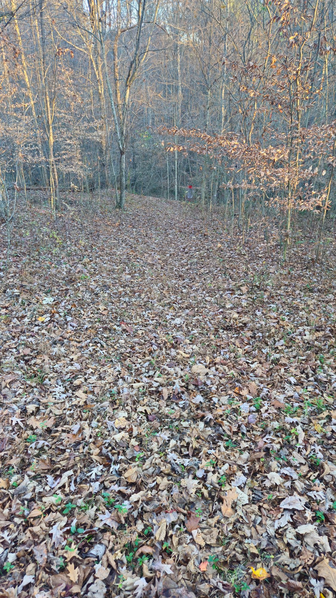 Hole 5