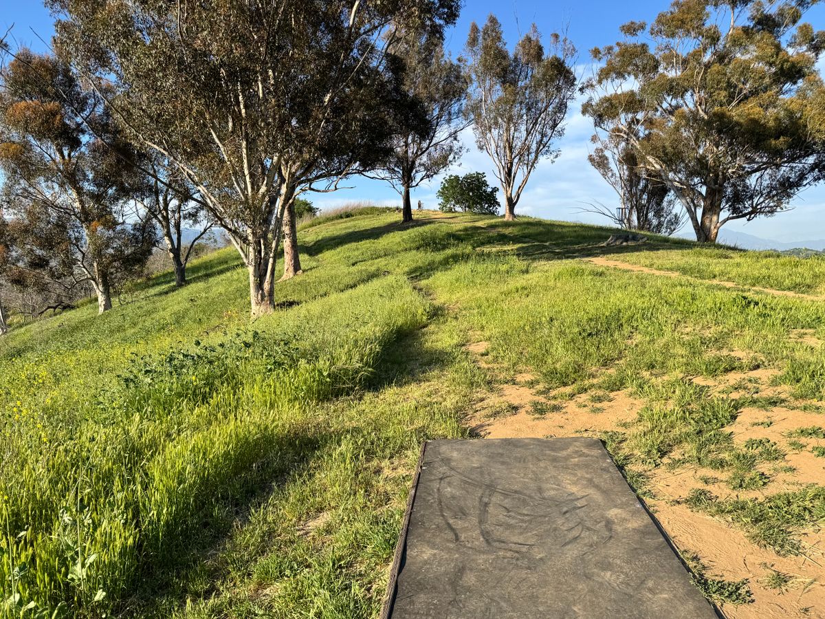 4 tee box