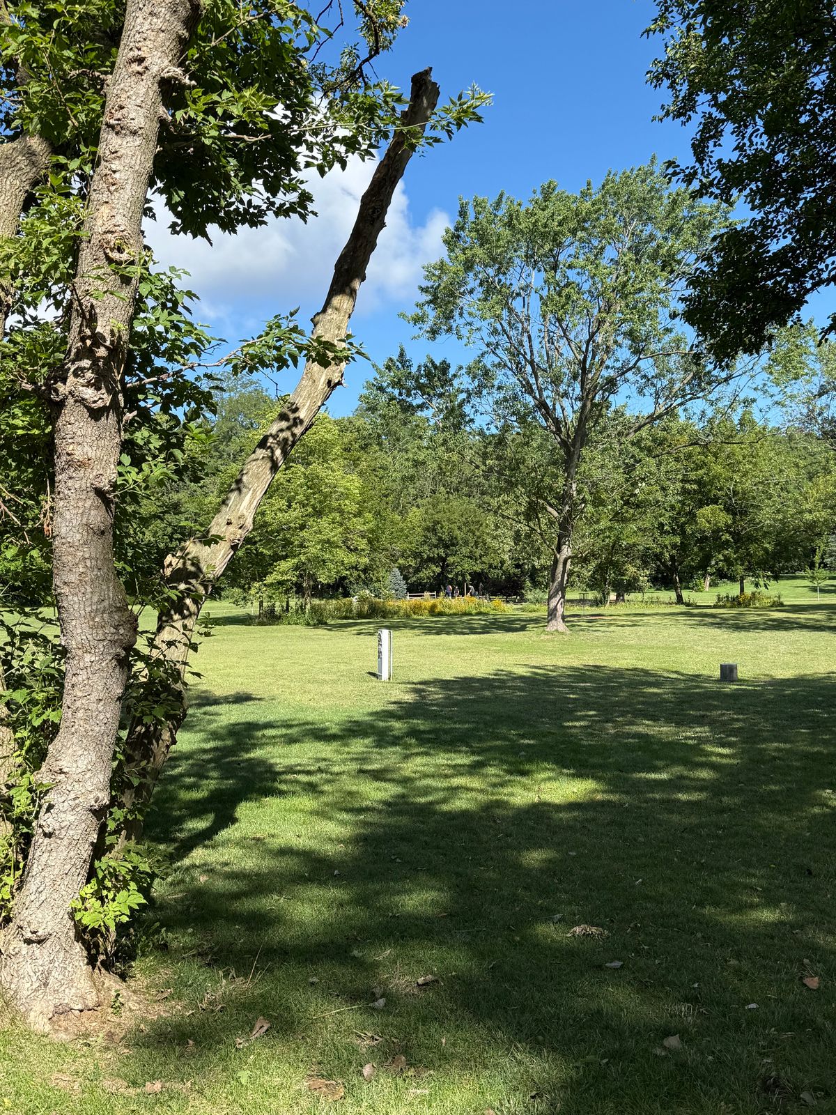 Tee 13 approach