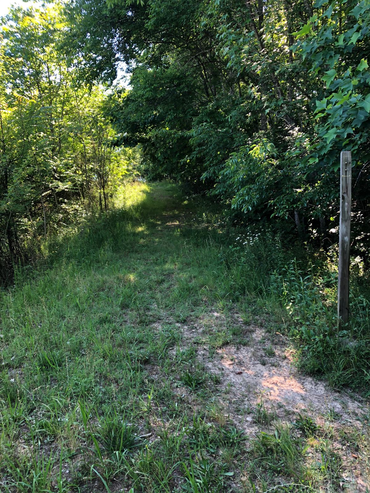 Post marking 8th tee, fairway uphill