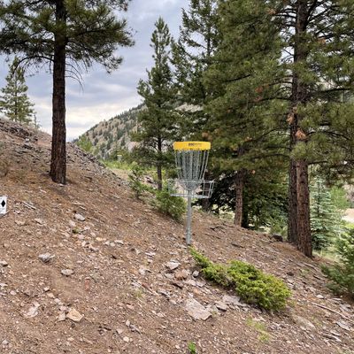 Hole 16 Basket