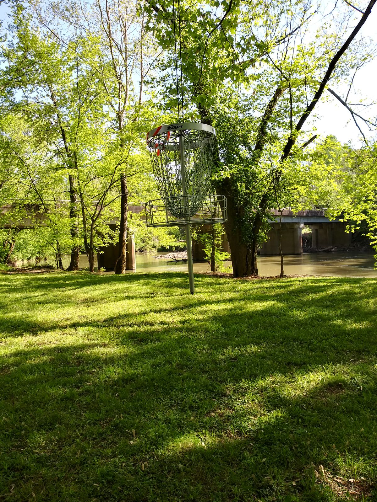 Basket 5