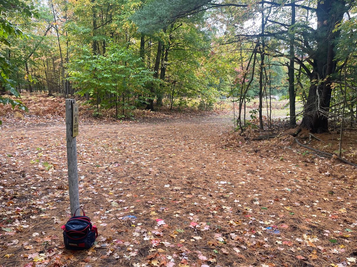 Tee pad 9 looking down fairway