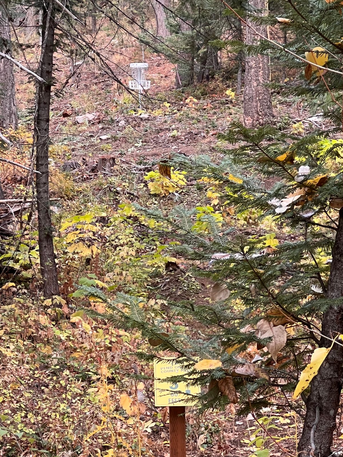 Hole 3 uphill