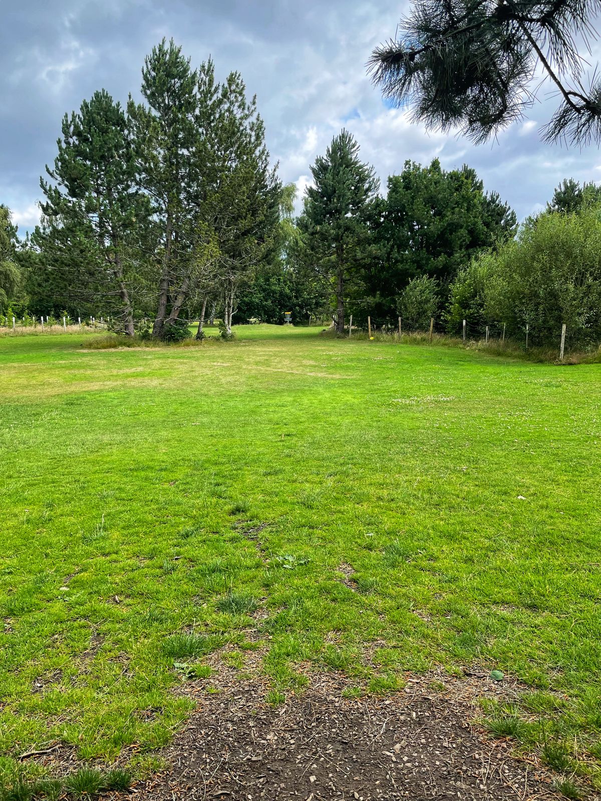 Pick your poison on hole 11. Left, right, or straight down the middle.