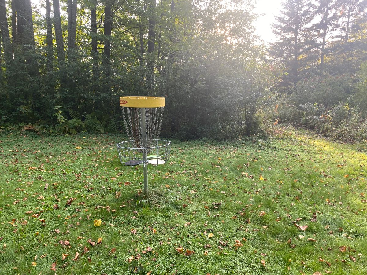 Basket on hole 2.
