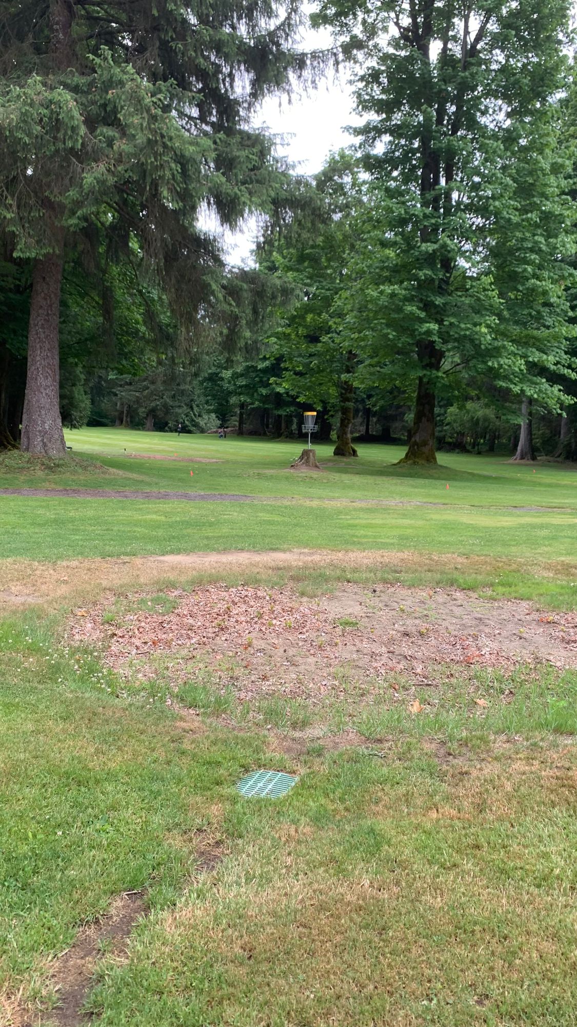Hole 17 elevated basket