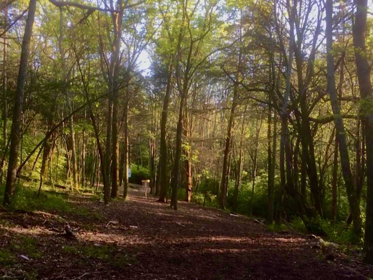 Hole 9