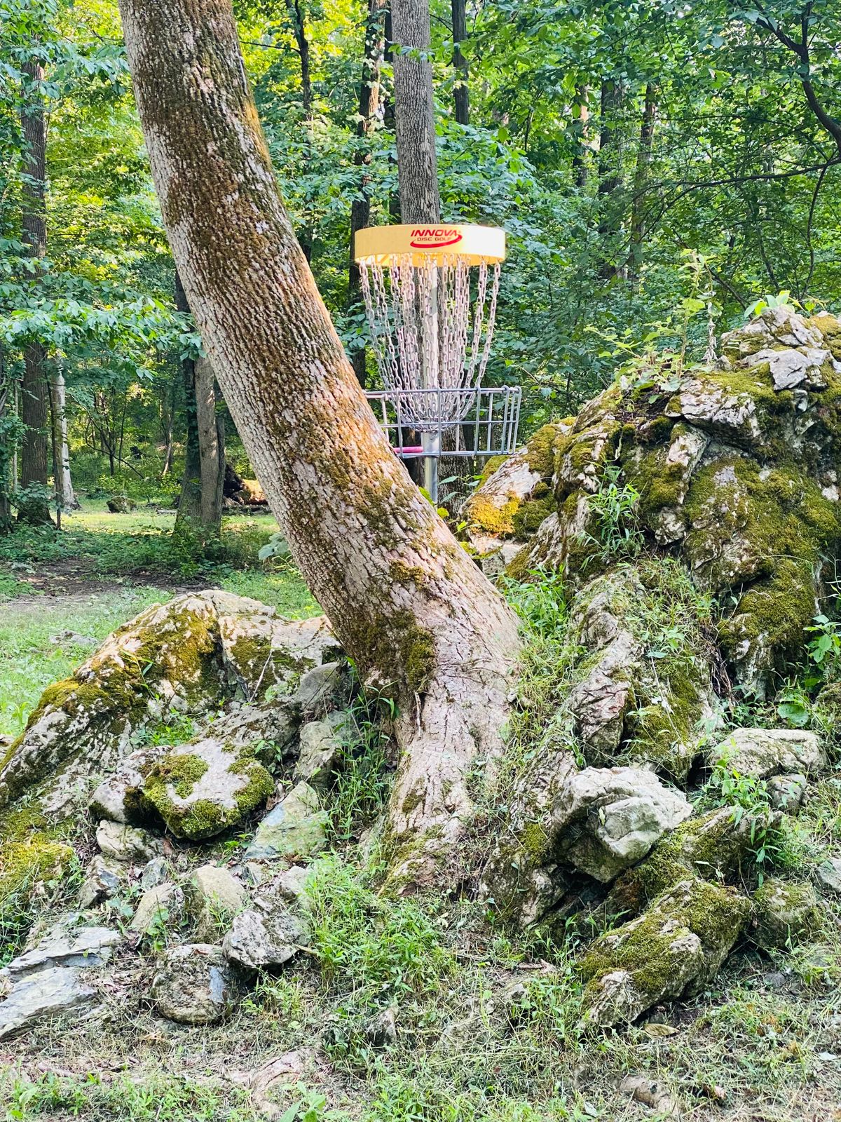 Hole 5
