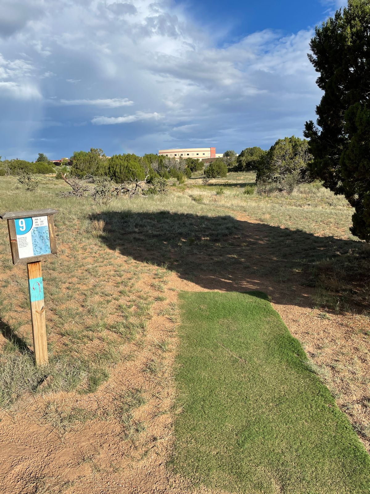 Hole 9 Pro tee pad