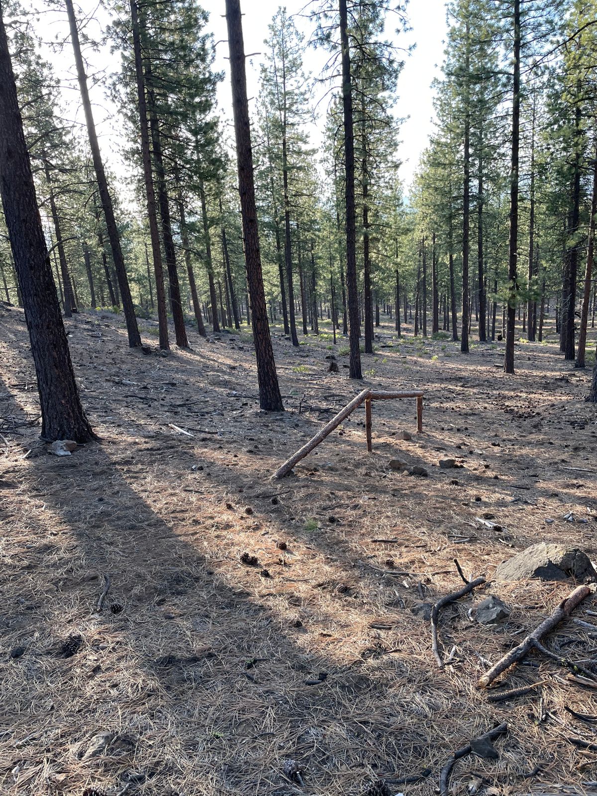 Possible mountain biking fixture on hole 5