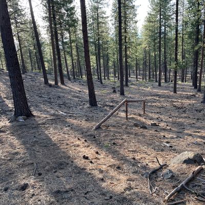 Possible mountain biking fixture on hole 5
