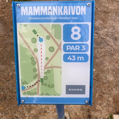 Väyläopaste 8
