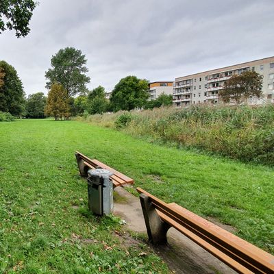 Bahn 6