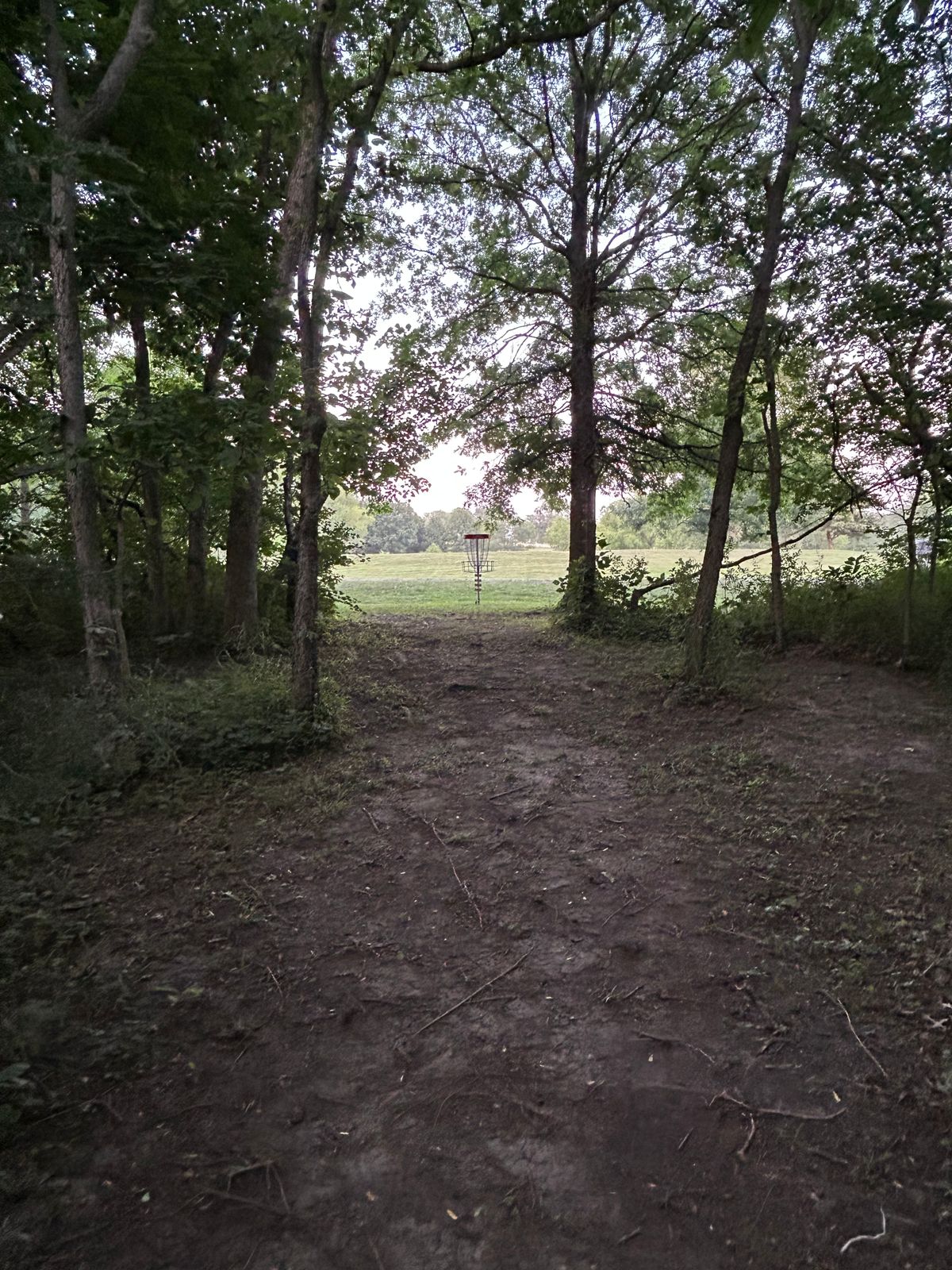 Hole #10 close up look out tunnel to basket