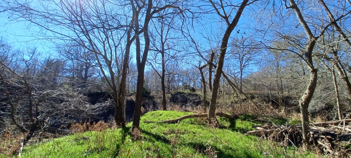 Hole 5