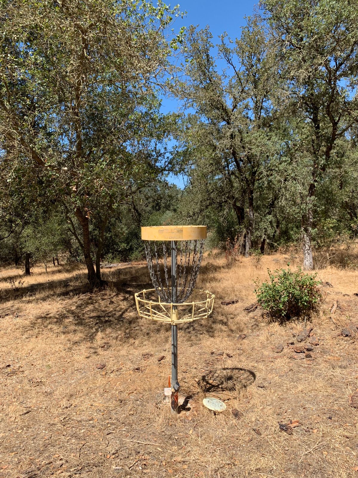 Hole 8.
