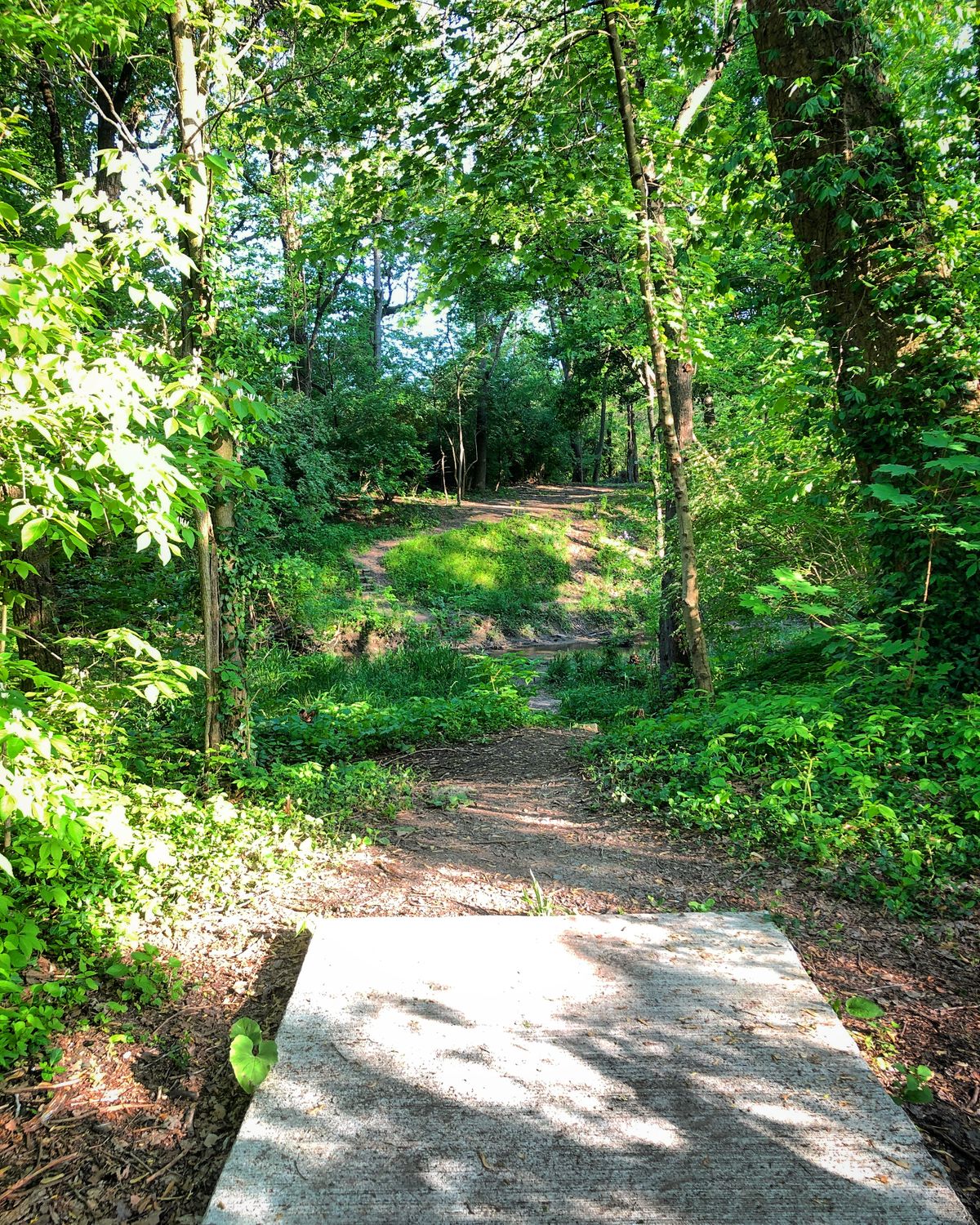 Hole 15 throwing over the creek.