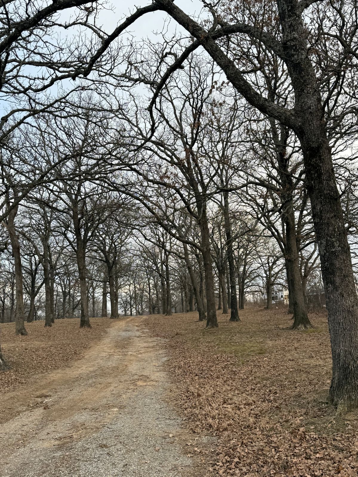 Hole 12 fairway