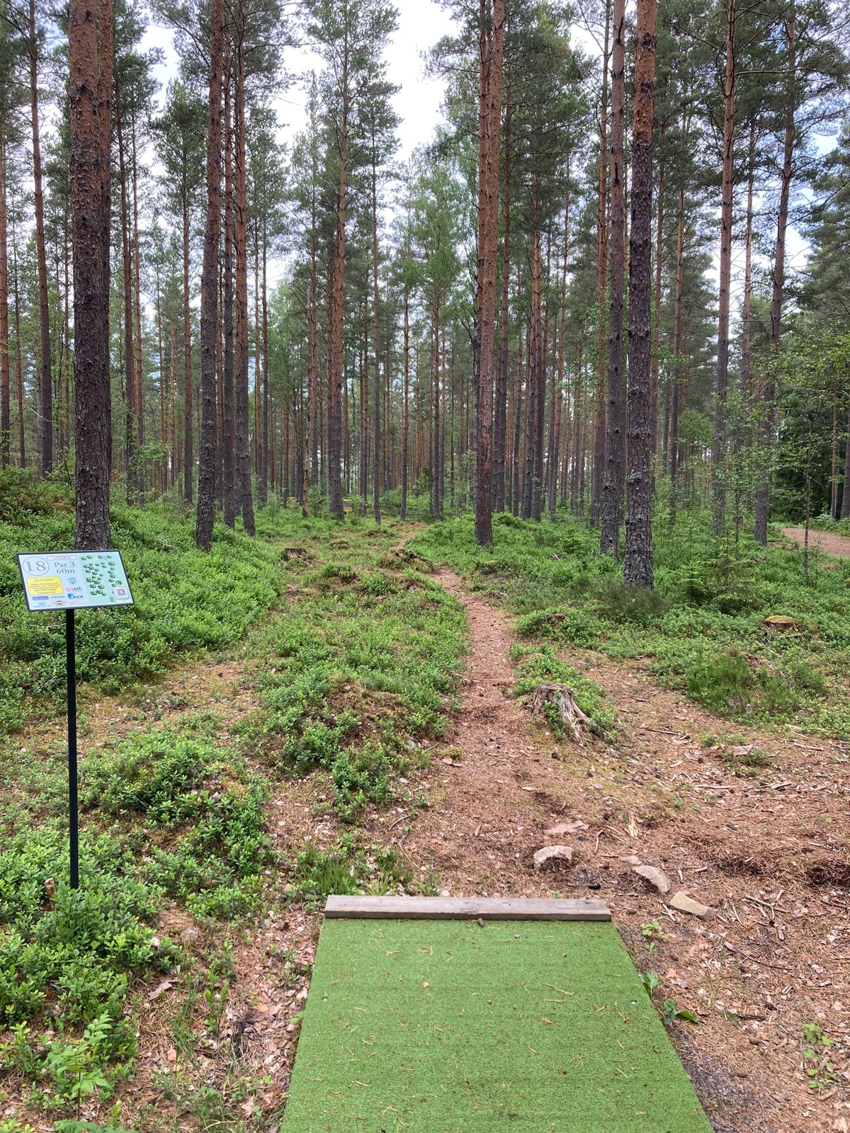 Tee hål 18
