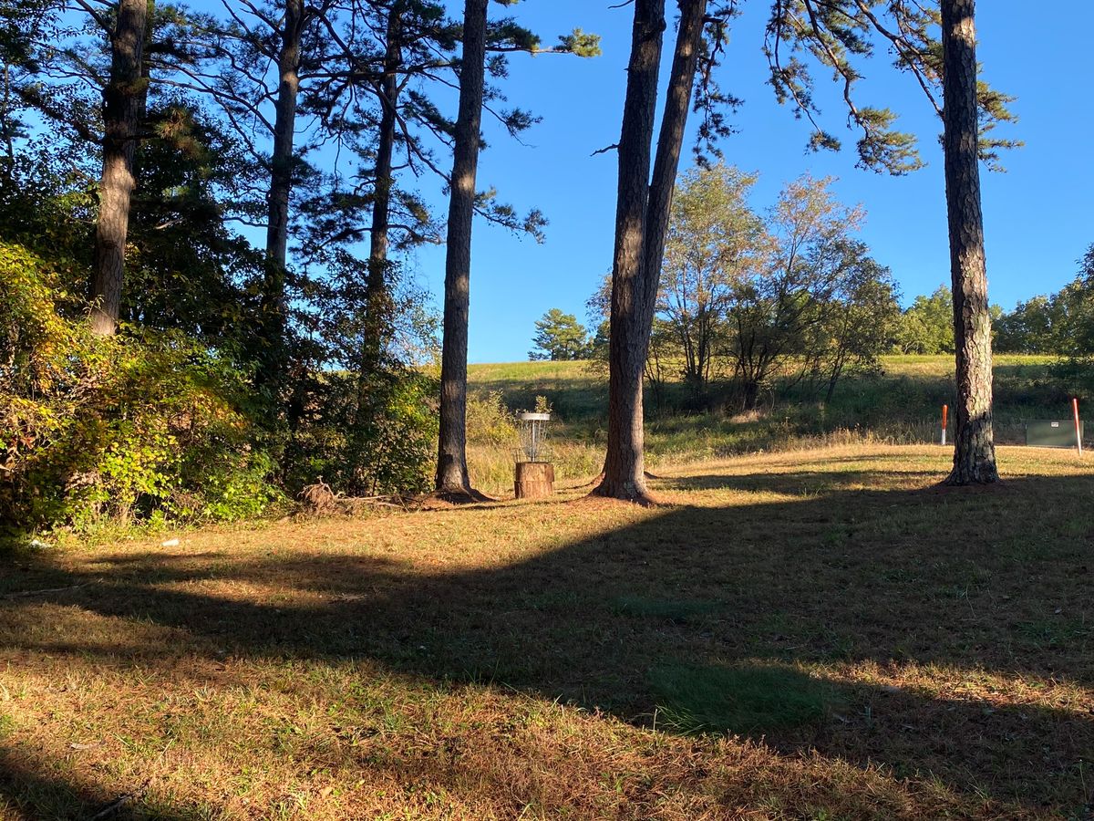 Hole 10 green