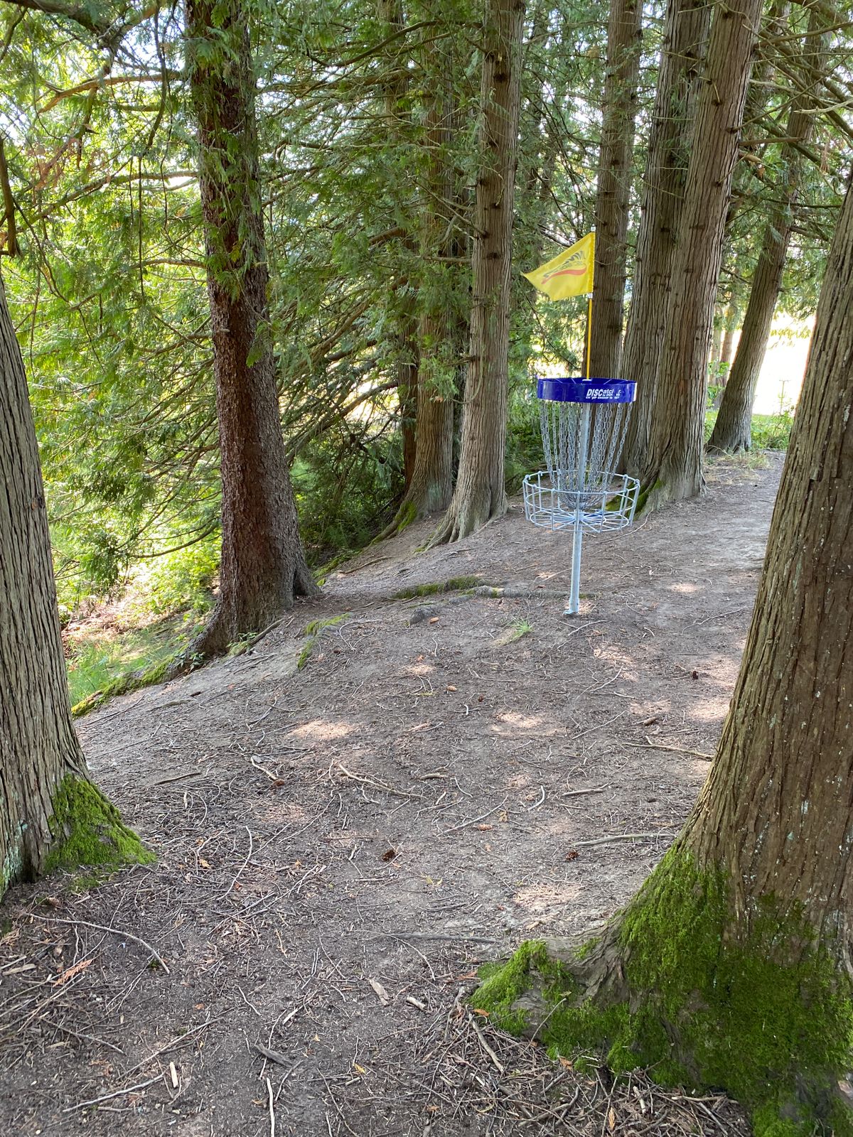 Hole 17 green. Heavily guarded and a killer death putt!