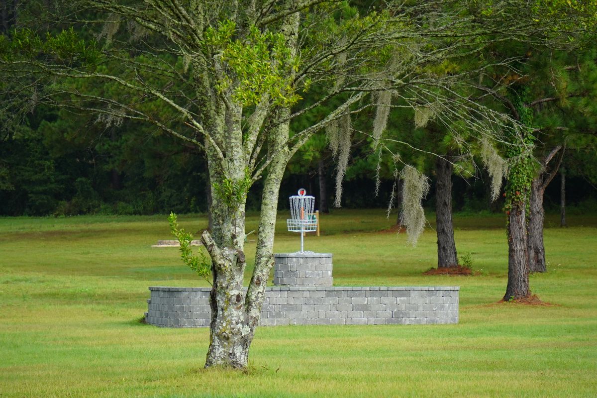 Hole 5’s basket