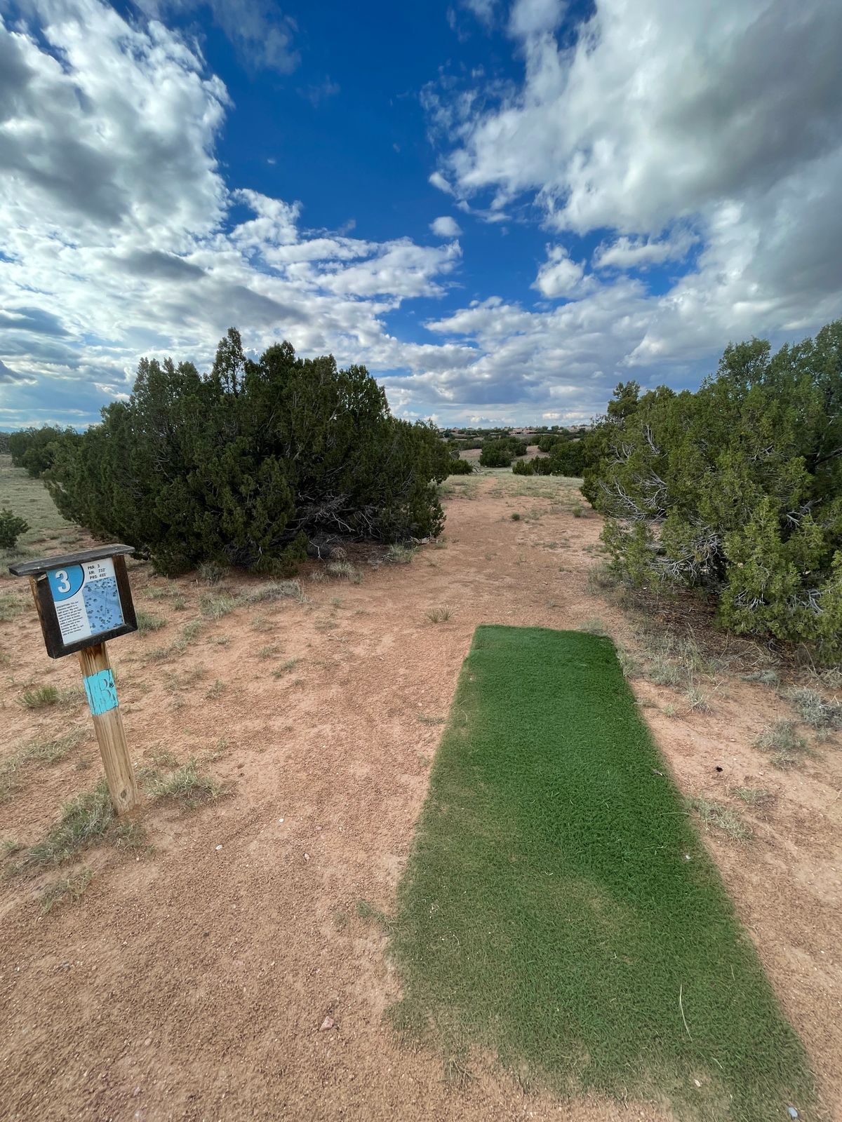 Hole 3 Pro tee pad